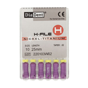 H FILE (NICKEL-TITANIUM) .02/25 MM(ISO 10)