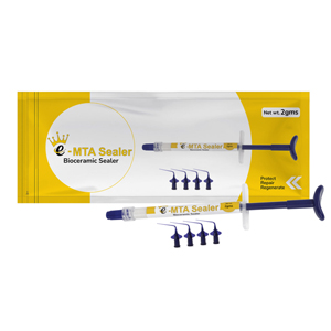 e-MTA SEALER 2gm (BIOCERAMIC SEALER)